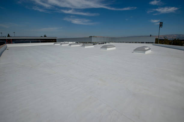 Best Cold Roofs  in Nashville, GA