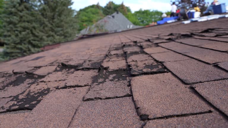 Best Roof Moss and Algae Removal  in Nashville, GA