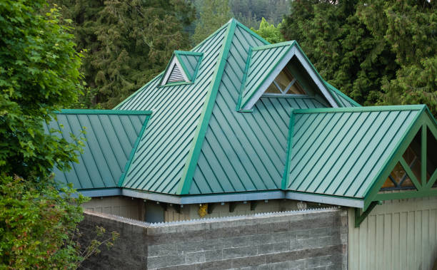 Best Sheet Metal Roofing  in Nashville, GA